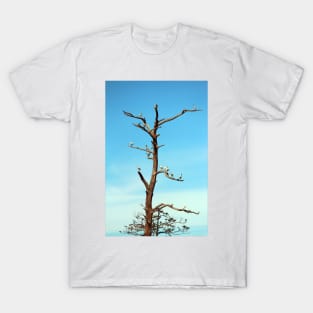 Ibises On Bare Tree T-Shirt